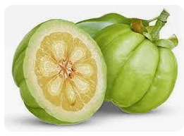 가르시니아 캄보지아33