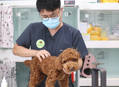 노란우산공제 신청