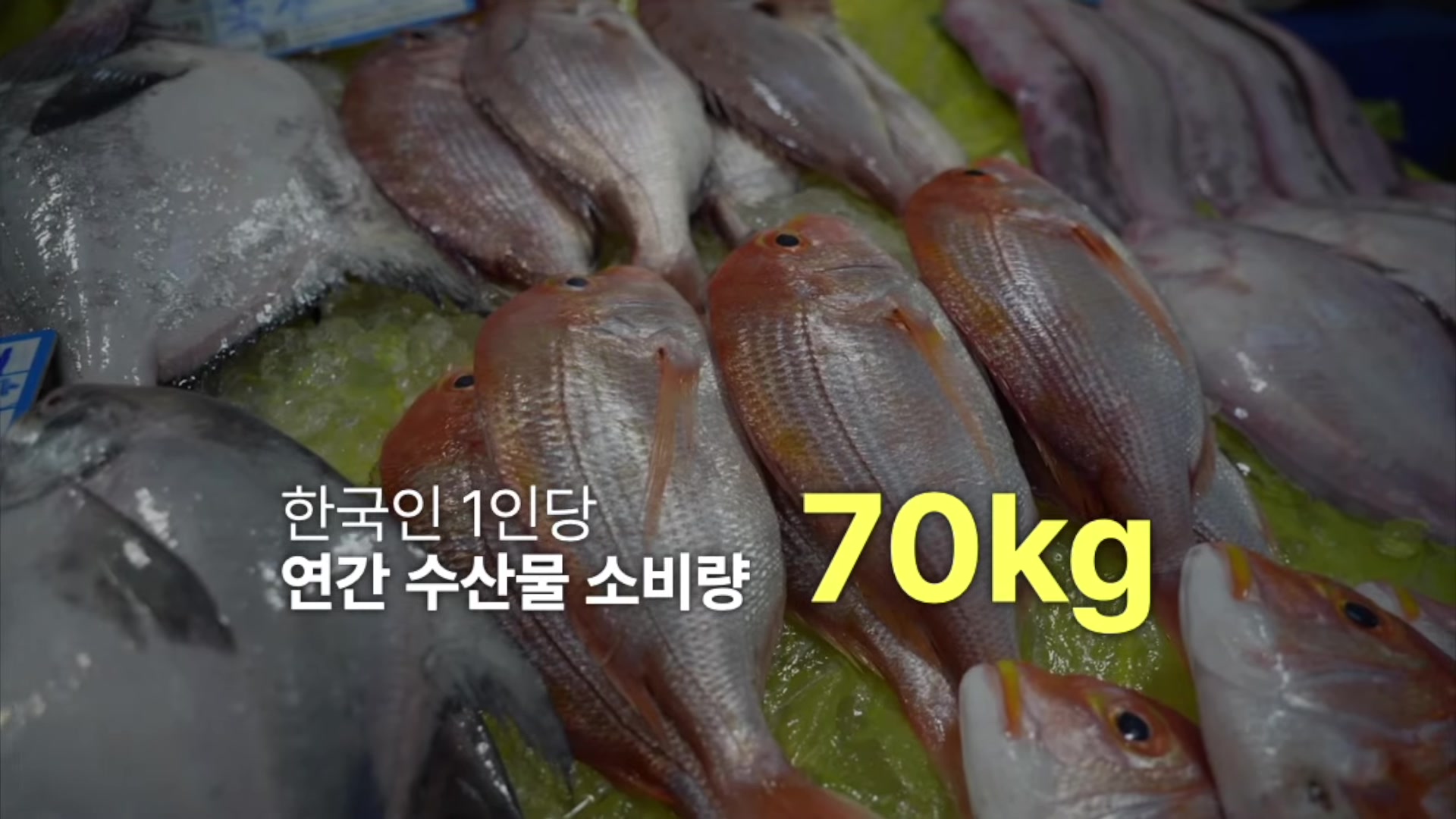 한국인 1인당 연간 수산물 소비량 70kg