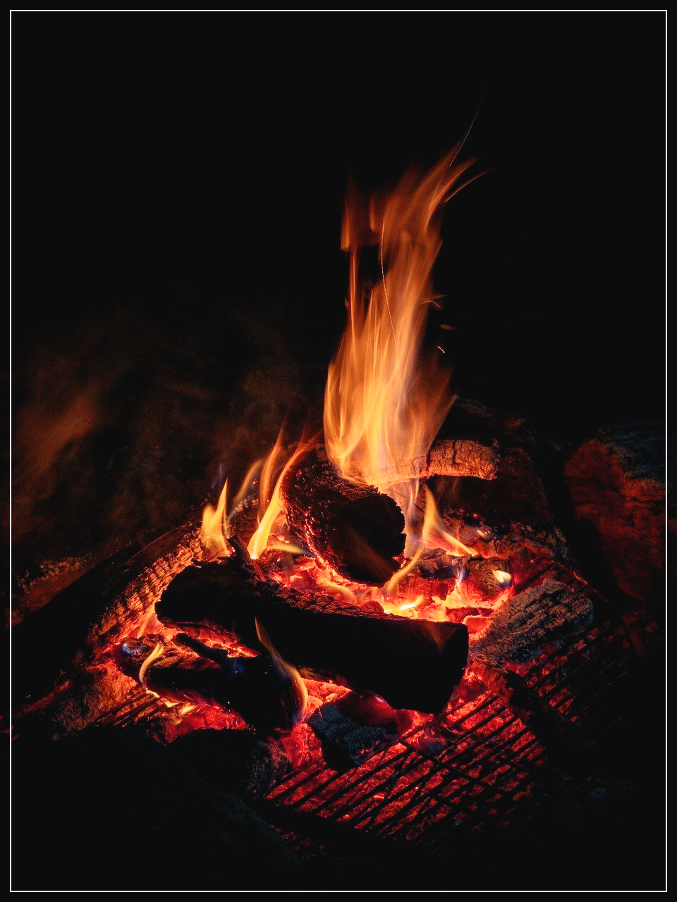 파주 캠핑장 예약! 추천 명소 & 실시간 사이트 안내