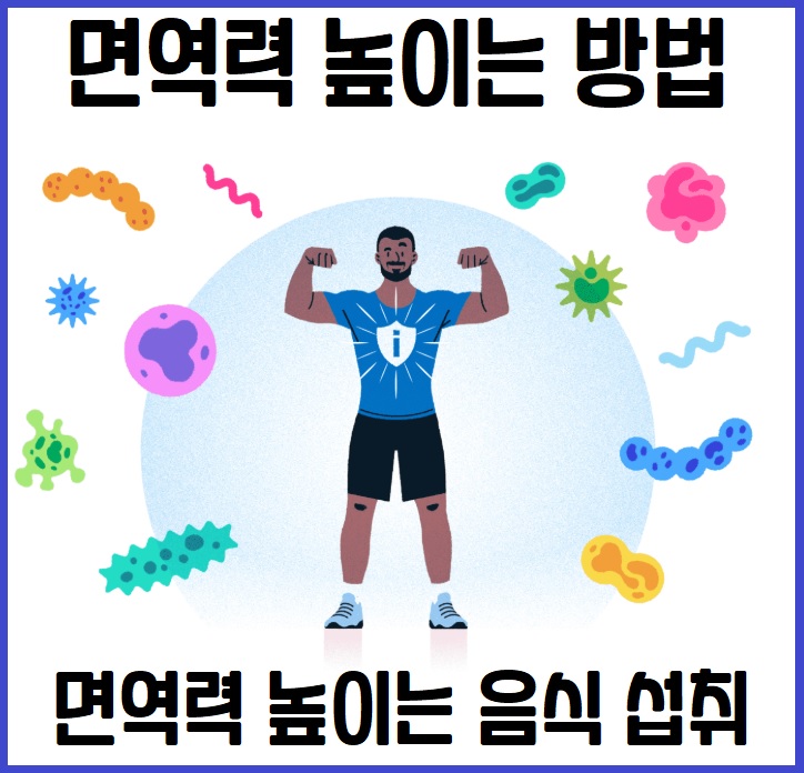 면역력 높이는 식품