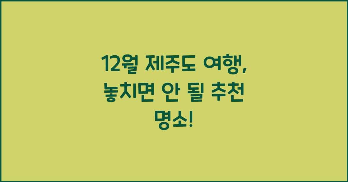 12월 제주도 여행