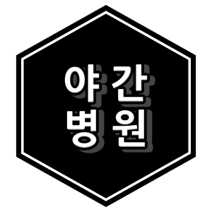 의정부 야간 병원