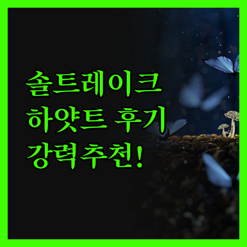 솔트레이크시티 Farmington H
