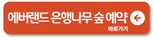 호암미술관 은행나무 숲 바로 예약하기 7