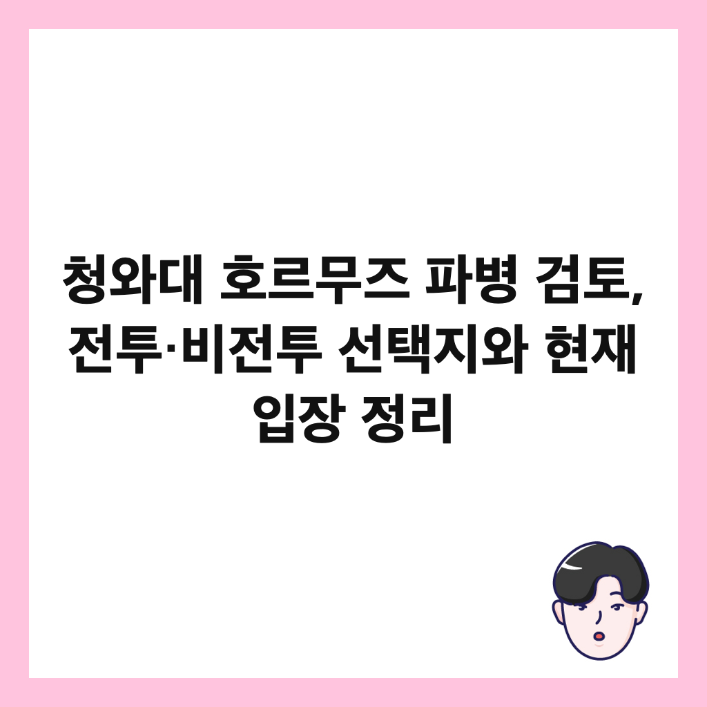 청와대 호르무즈 파병 검토, 전투&middot;비전투 선택지와 현재 입장 정리 썸네일