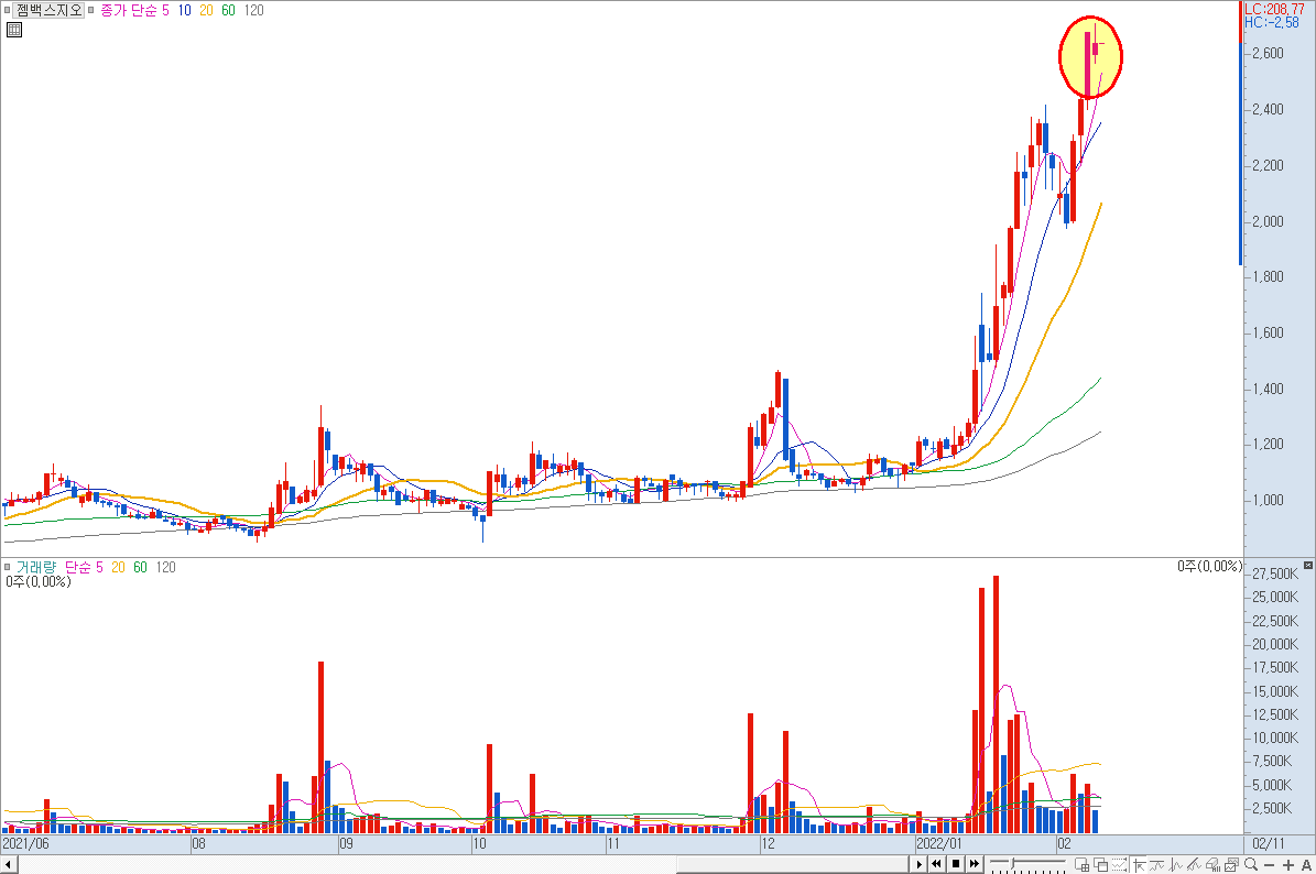 젬백스지오 일봉 차트
