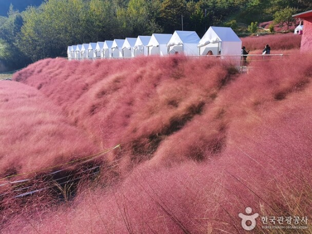 고창 가볼만한곳 베스트 10