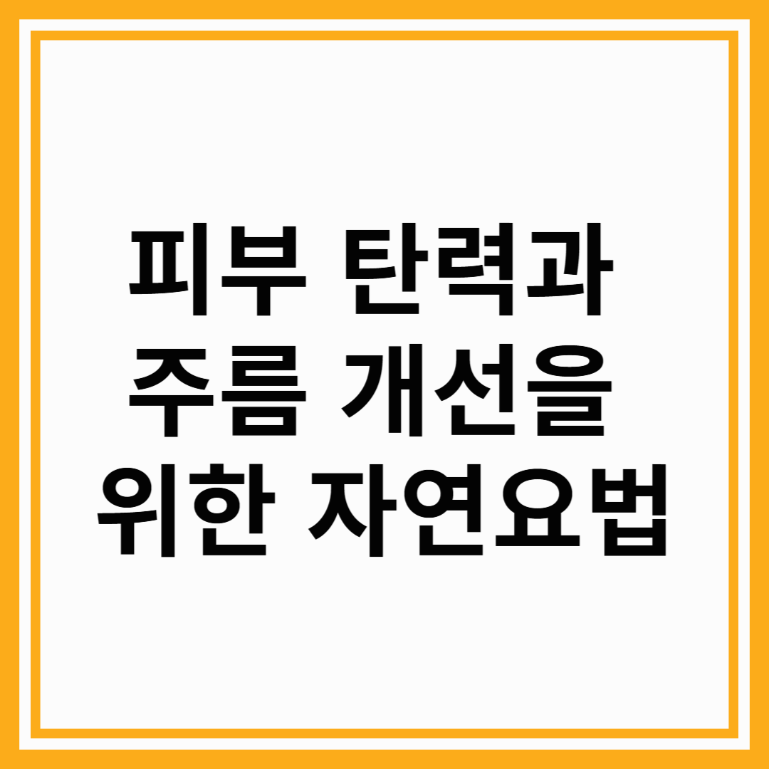 피부 탄력과 주름 개선을 위한 자연요법