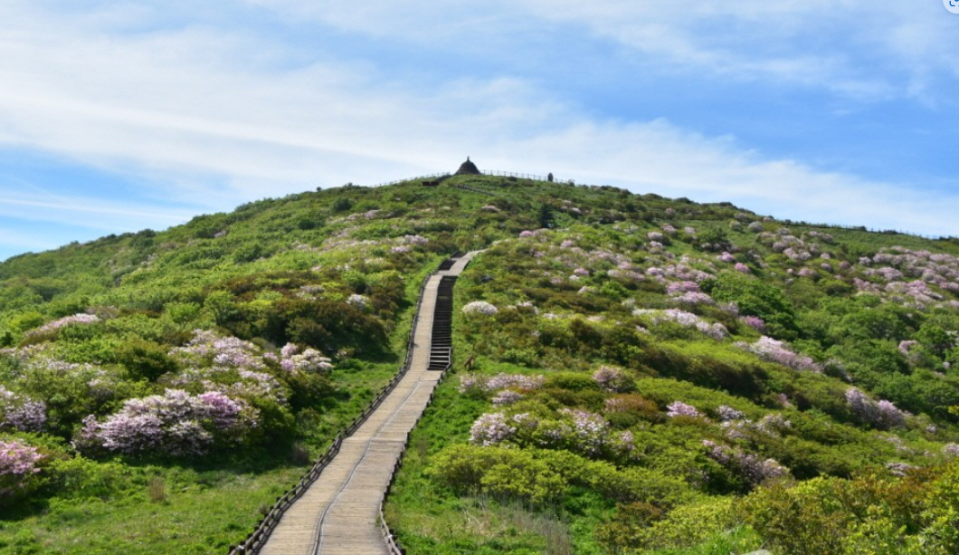 지리산 노고단 코스