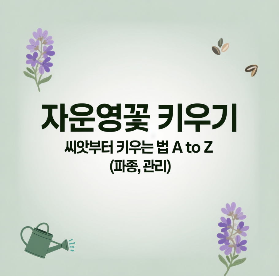 자운영꽃 키우기, 씨앗부터 키우는 법 A to Z (파종, 관리)