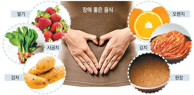 과민성 대장증후군에 좋은 음식