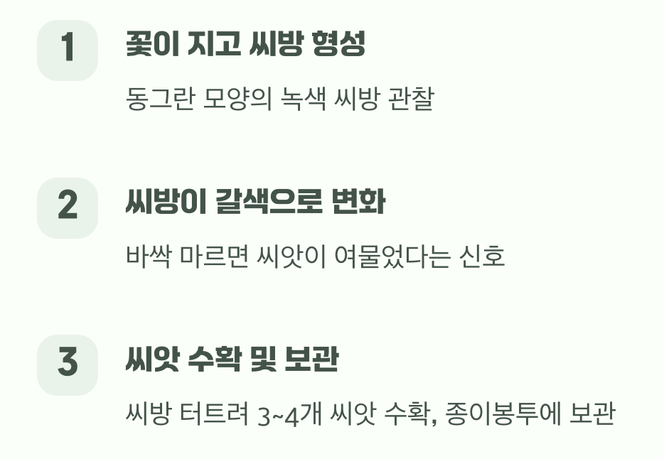 다음 해의 아침을 여는 씨앗 받기