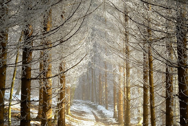 트레이딩뷰-사용법