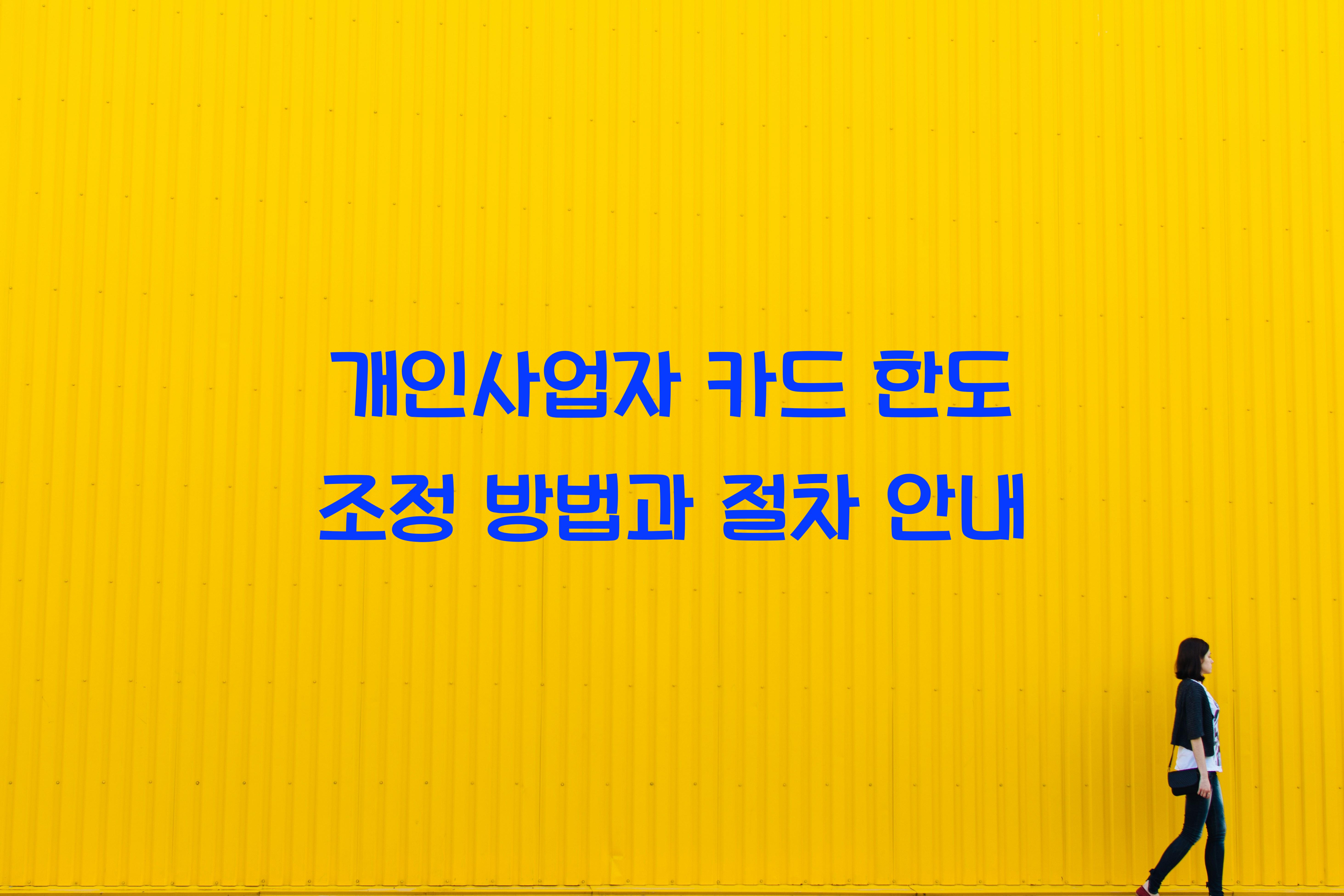 개인사업자 카드 한도 조정 방법