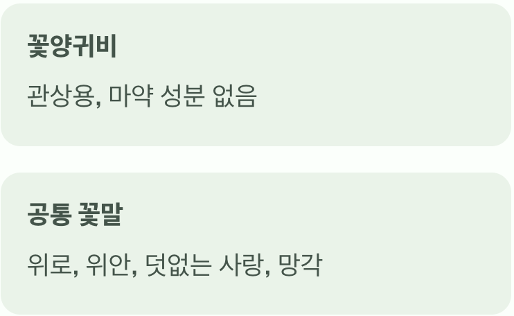 아름다움에 가려진 두 얼굴