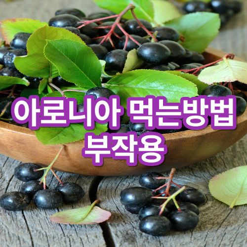 아로니아-먹는방법-및-부작용
