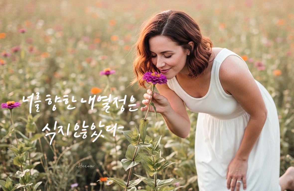 색상별 백일홍 꽃말과 감성 캘리그라피 문구 60선