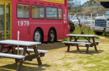 군산_무녀도_쥐똥섬_당일치기_여행_추천코스