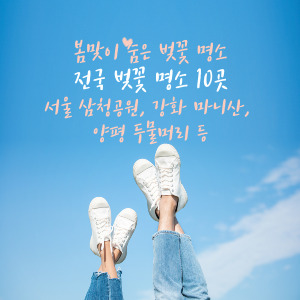 전국 숨은 벚꽃 명소 추천 10곳|사람 없는 벚꽃길, 조용한 봄 여행