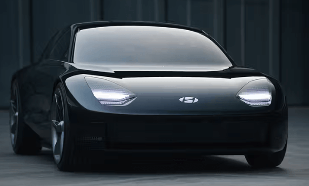 돼지띠 신년운세