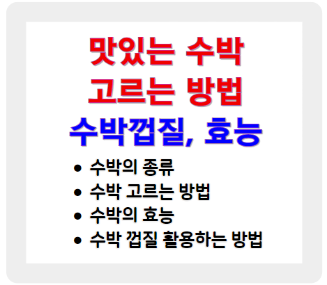 맛있는 수박 고르는 방법, 효능 그리고 수박 껍질 등 총정리