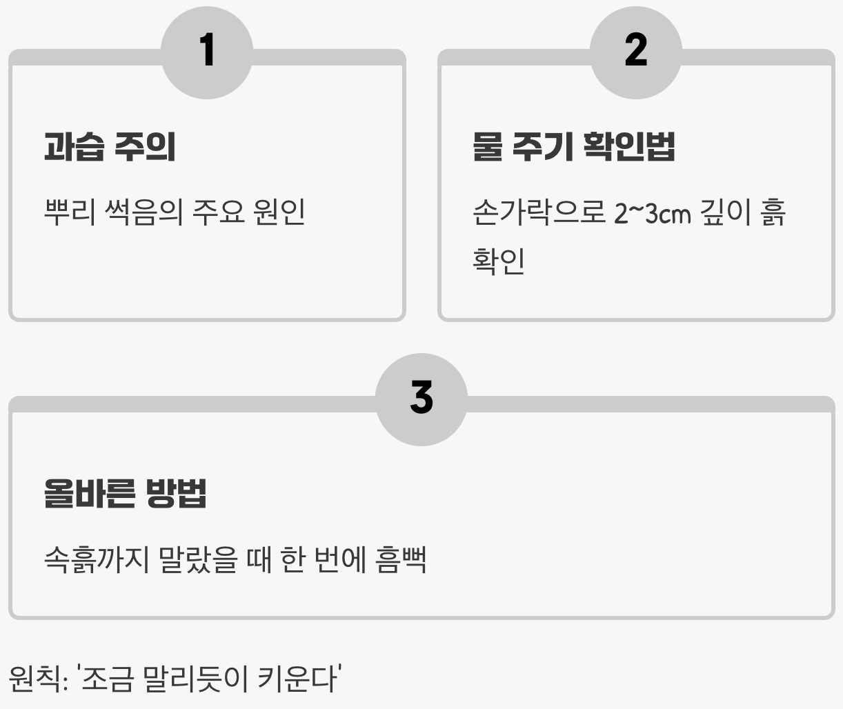 과습은 금물, 현명한 물 주기