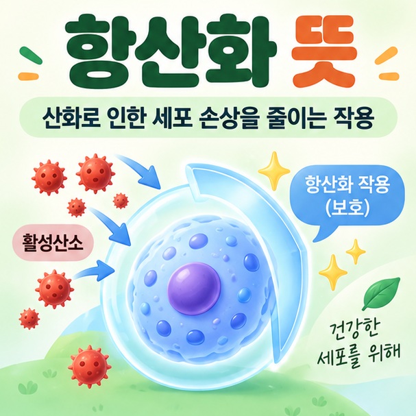 활성산소와 보호막 세포 아이콘을 중심으로 항산화 뜻 문구를 보여주는 대표 카드뉴스 이미지