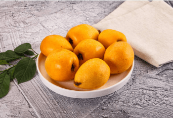 제주도 비파열매