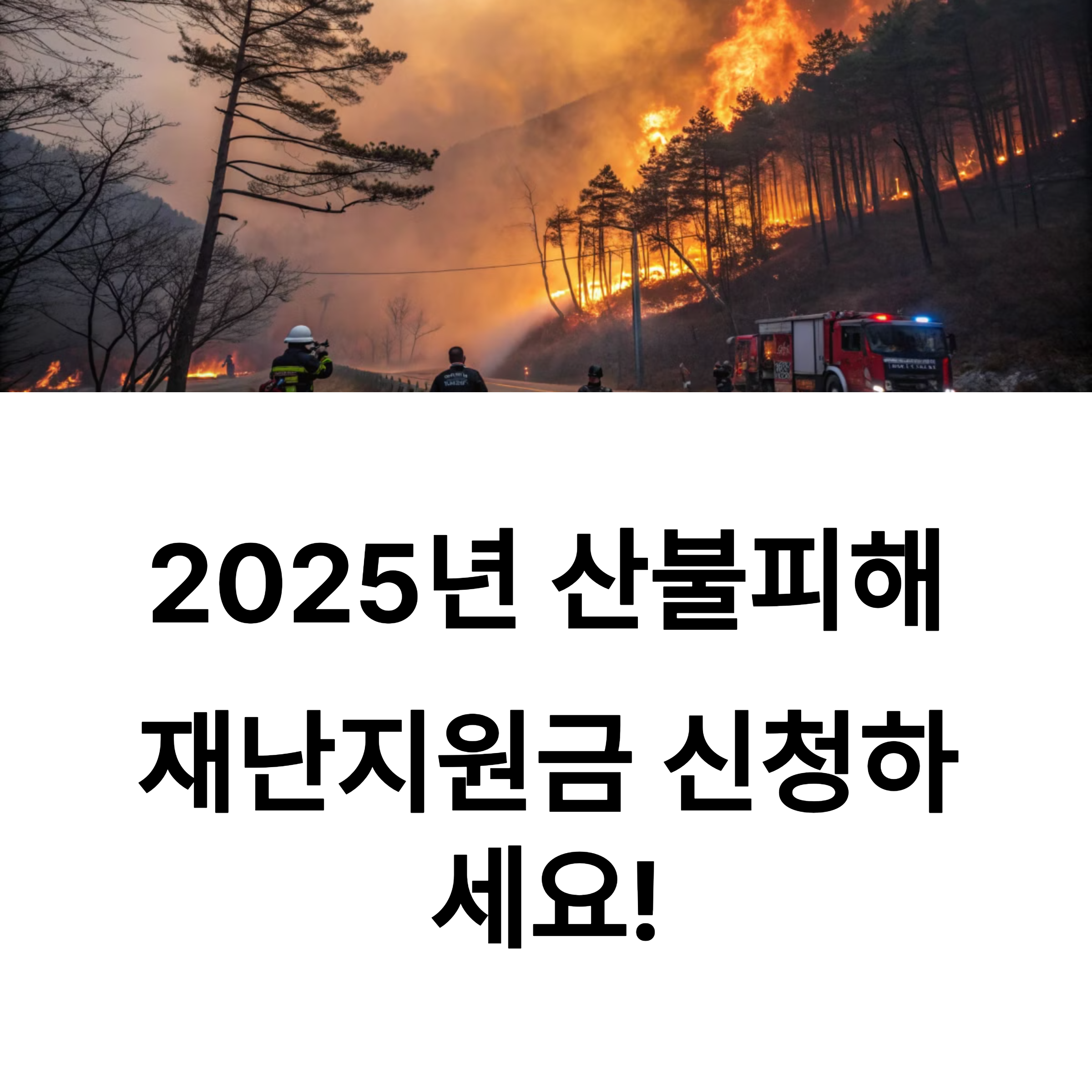 재난지원금 신청 방법