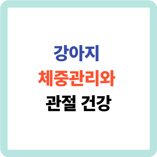 강아지 체중관리와 관절 건강
