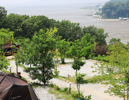 남양주 애견캠핑장 하늘정원