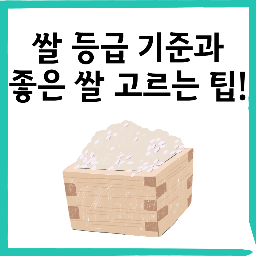 쌀에도 등급이 있다고? 쌀 등급 기준과 좋은 쌀 고르는 팁!