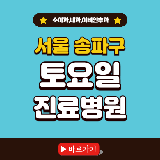 서울 송파구 토요일 진료 병원 찾기 ❘ 주말 문여는 소아과, 내과, 이비인후과 리스트