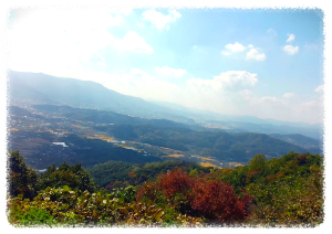 용각산
