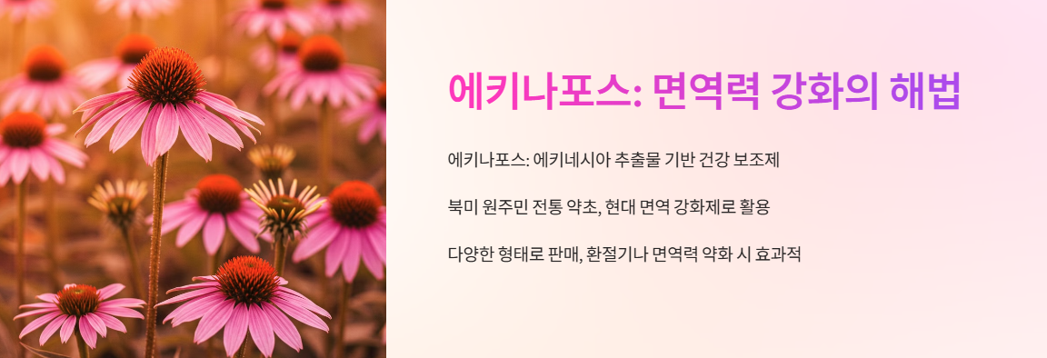 에키나포스 설명