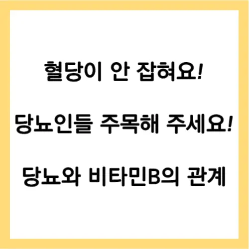 당뇨와 비타민B