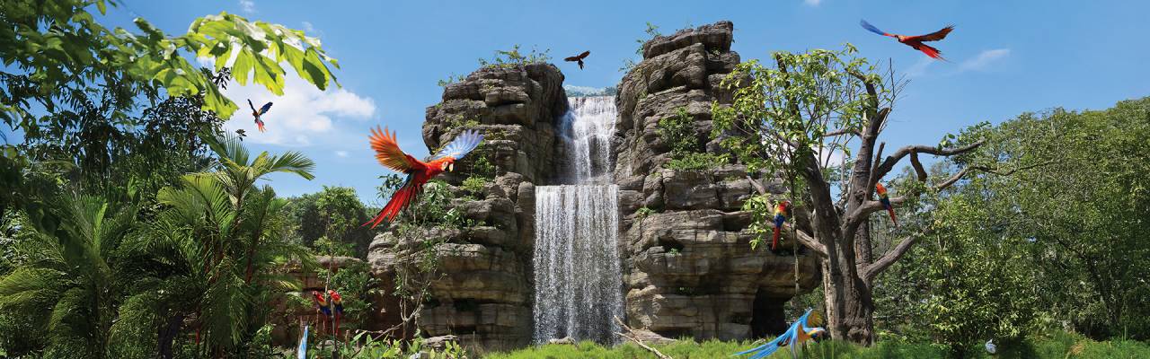 나이트 사파리 탐방기: 세계 최초의 야간 동물원 체험