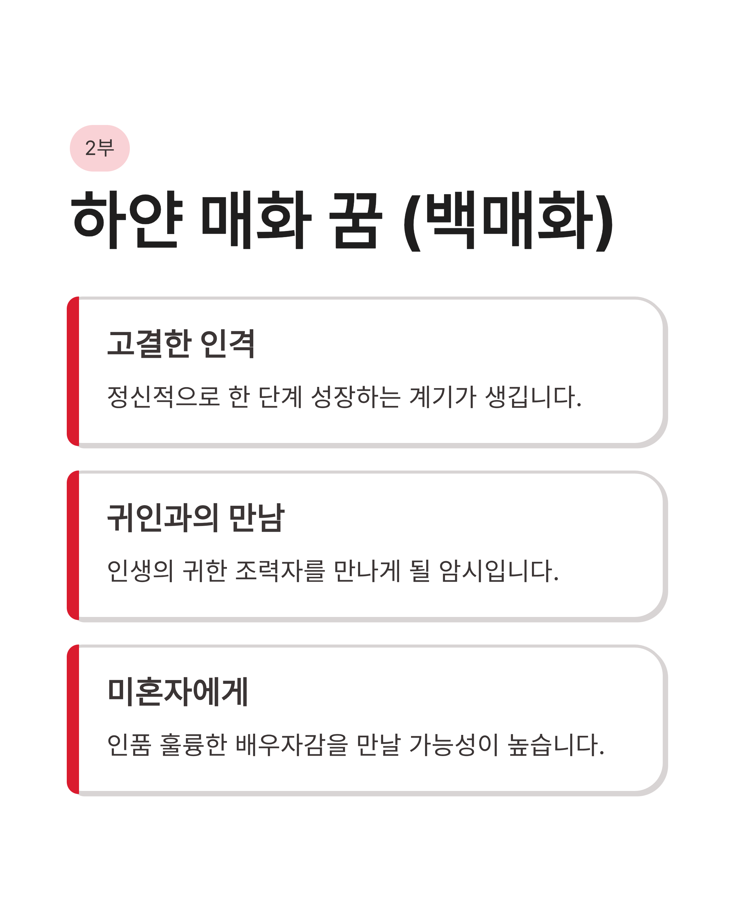 🌸 매화 꿈 해몽 , 하얀 매화꿈, 색깔별 매화꿈, 매화 태몽꿈 완벽정리