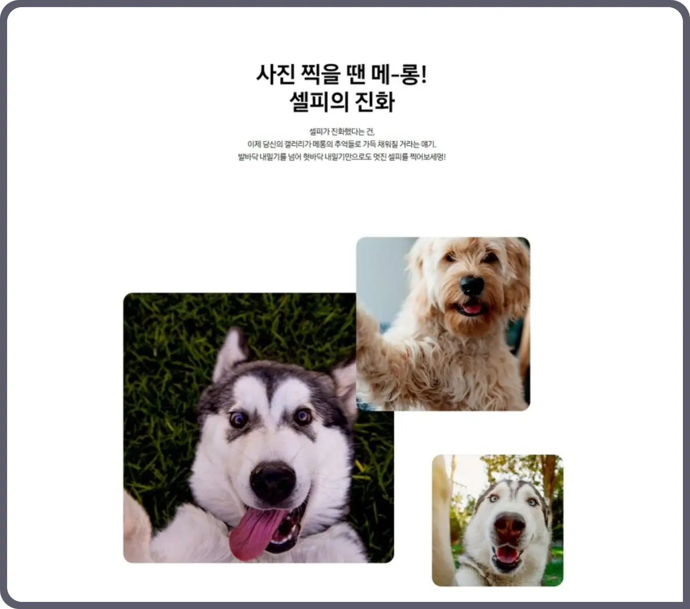 만우절-유래-장난-소개