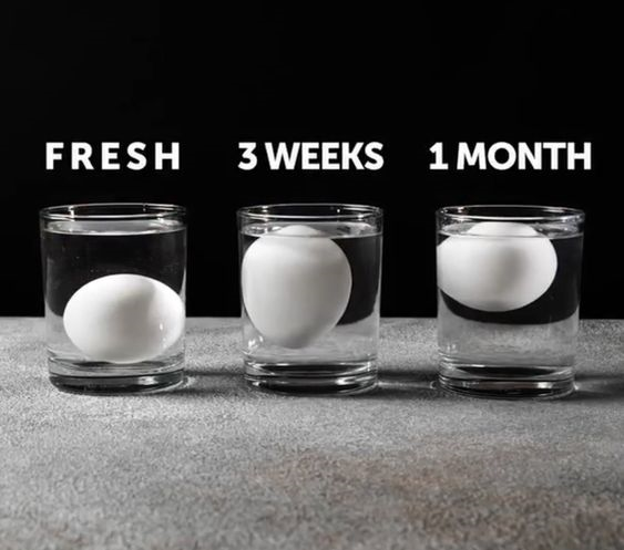 계란-신선도-비교사진