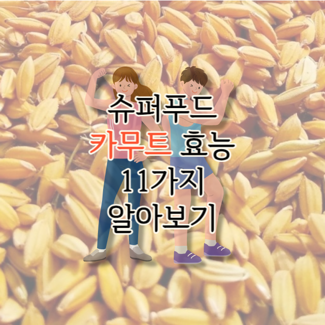 카무트-효능
