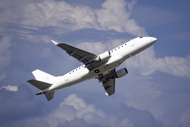 피치항공 수하물(수화물) 규정 총정리(기내 수하물, 무료 위탁 수하물, 골프백, 스키/스노우보드, 유모차, 애완동물, 기내반입)