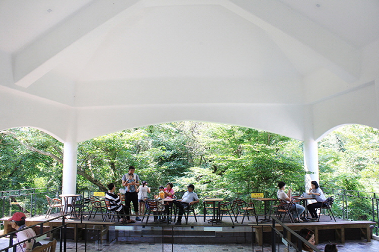 제주 에코랜드 테마파크