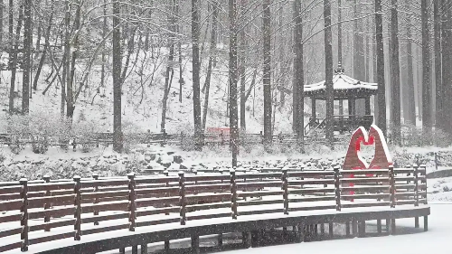 대전 겨울 여행 명소, 장태산자연휴양림·한밭수목원·보문산행복숲길·유림공원