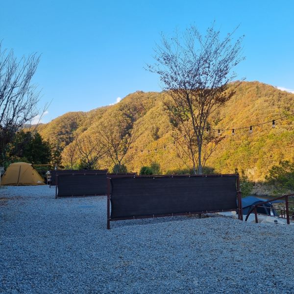 도담캠핑장_사이트