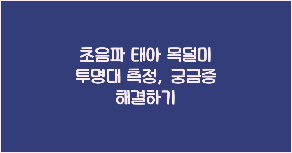 초음파 태아 목덜미 투명대 측정