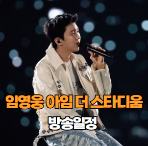 임영웅 아임 더 스타디움