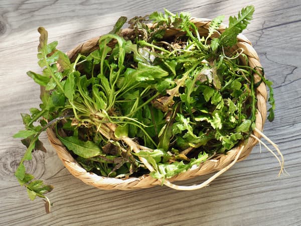 소쿠리에 담긴 냉이 이미지