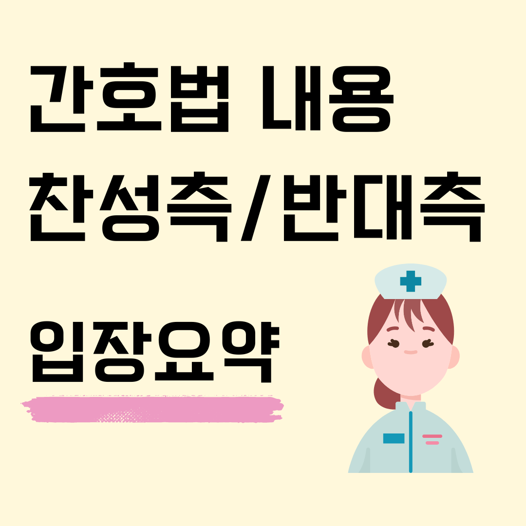 간호법내용-요약